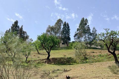 Finca i Tices, Almeria, Tices - € 8.000.000 | Ref: GVCFNSC - foto 42